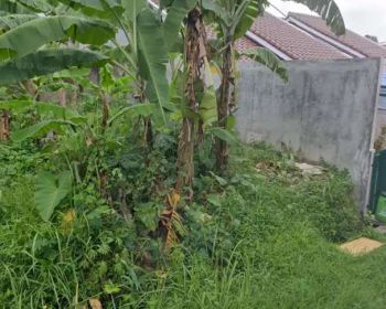 Kavling MURAH dlm perumahan Griya Bogor Asri (Blkg SMAN 3 Cibinong)