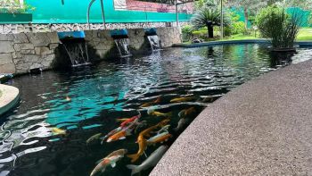 Dijual Ruko Happy Center di jl. Mayor Soryoto Bergas Lor