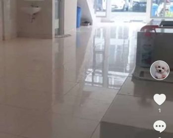 Di sewakan ruang usaha di BSD