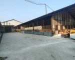 thumbnail-gudang-ex-pabrik-furniture-klatenkab-semarang-7