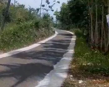 Dijual tanah 1,9ha dekat pantai nampu pacutan