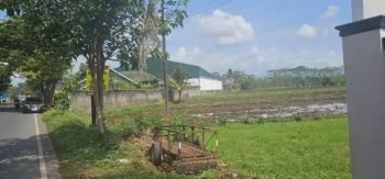 Dijual Tanah Sawah SHM 4900 M²