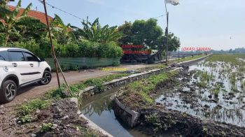 Dijual Cepat Tanah Sawah Produktif, Luas 2280 M2