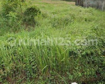 TANAH PINGGIR JALAN RAYA VIEW SAWAH COCOK VILLA RENTAL