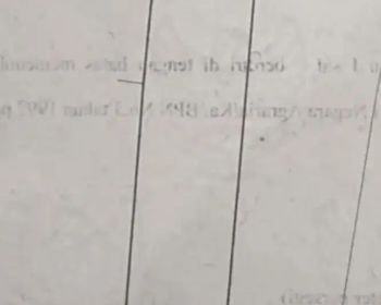 Di jual tanah 15 are atau 1500 m² di Selong belanak