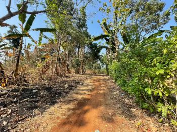 Dijual cepat tanah murah 1200m shm dkt kampus Undip Tembalang semarang