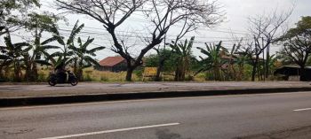 Tanah Di Pinggir Jalan Raya Pantura, Ender - Pangenan