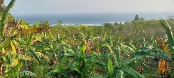 Dijual Tanah pekarangan