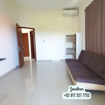 MODERN TROPICAL VILLA FOR SALE FREEHOLD WITH RICEFIELD VIEW BATUBELIG