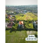 thumbnail-modern-tropical-villa-for-sale-freehold-with-ricefield-view-batubelig-4