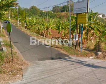 TANAH COCOK UNTUK GUDANG ATAU USAHA SENDANGMULYO