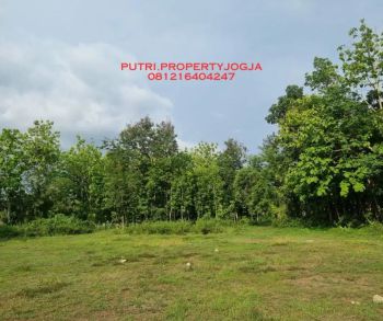 Dekat Pasar Pleret Bantul, Tanah Murah SHM Pekarangan Pas Investasi