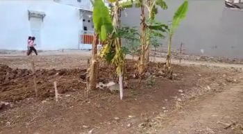 DIJUAL TANAH MURAH PEMDA PERTIGAAN BAMBU KUNING BOJONGGEDE, BOGOR