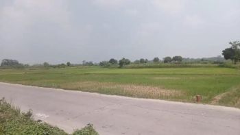 Dijual tanah serang banten