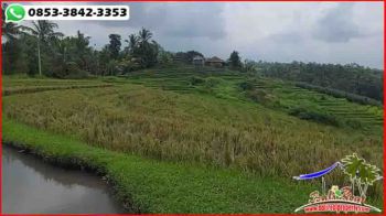 Strategis 89 Are Pinggir Jalan Hotmix MURAH untuk Komersil