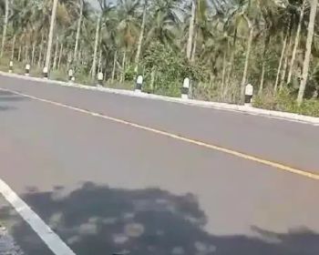 DIJUAL LAHAN 100HA SHM PINGGIR JALAN SUKABUMI JAWA BARAT