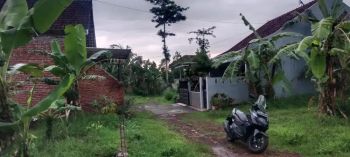 tanah murah strategis magliawan pakis malang 5 menit exit tol