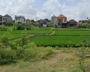 Tanah view sawah di Siulan Denpasar Timur