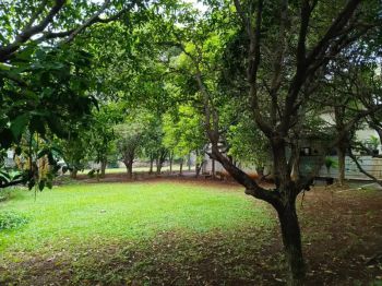 DIJUAL TANAH KAVLING CLUSTER 87m2 CIREUNDEU DEKAT KE MRT LEBAK BULUS