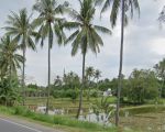 thumbnail-tanah-murah-luas-300are-di-bibir-pantai-batu-layarcocok-untuk-hotel-5