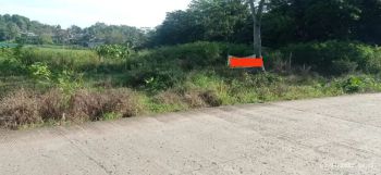 Dijual tanah 2500m² desa Babakan ciseeng kab.bogor