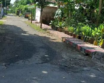 JUAL TANAH PENGKOL TANJUNGSARI BLITAR