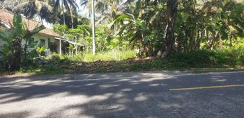 Sell Tanah: Dijual tanah kebon