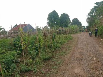 Tersisa 3 Unit Tanah Kavling Cipageran: Ambil Peluang!