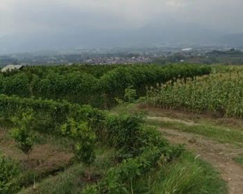 Tanah SHM murah dekat taman dolan kota batu