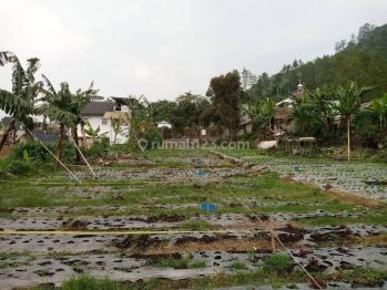 tanah kavling murah jarang ada lembang strategis di Jalan manggala giri perahu