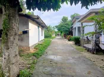 Di Jual Tanah di daerah Palas Rumbai