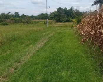 Dijual sebidang tanah