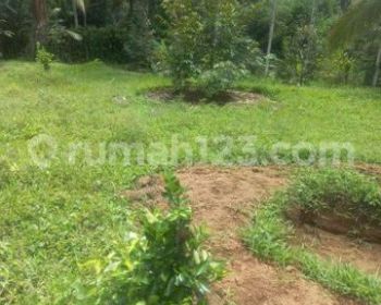 TANAH COCOK VILLA RENTAL DI PUHU PAYANGAN UBUD AREA