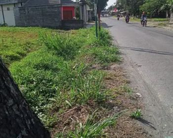 Tanah SHMS kuning 1369m ld 25 Polsek Seyegan akses jalan raya