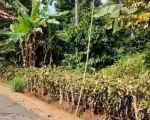 thumbnail-tanah-kebun-bagus-buat-bangun-rumah-2