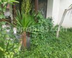 thumbnail-tanah-sewa-bonus-2-villa-siap-sewa-di-ubud-area-2