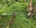 thumbnail-tanah-sewa-bonus-2-villa-siap-sewa-di-ubud-area-9