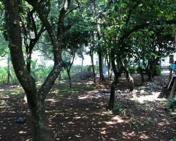 Dijual Tanah Di Cilodong Depok Sertifikat SHM Tanpa Perantara