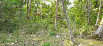 Tanah Wates strategis dekat bandara kulo progo