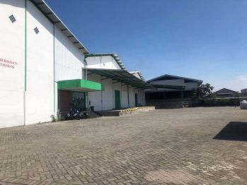 Gudang Besar 1 HA Tambak Sawah Sidoarjo Selatan Surabaya Dkt Rungkut