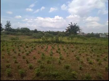 jual tanah di sawangan depok