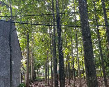 Dijual Tanah Darat/Kebun