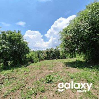 Disewakan Tanah Murah Permata Pering Saba Gianyar, Bali