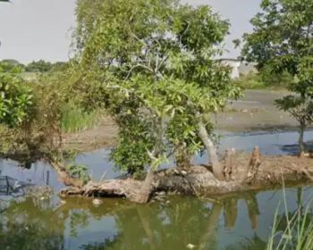 Jual tanah Sawah 250 m2