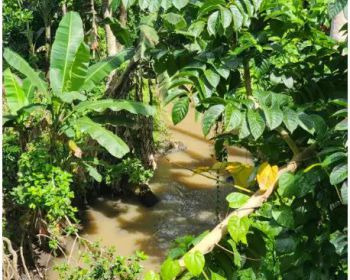 Tanah Murah 85 Are Bonus Bangunan diSingapadu Ubud Gianyar