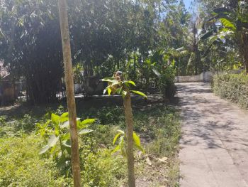 DI JUAL TANAH DI BANTUL