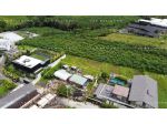 thumbnail-exceptional-freehold-land-in-tumbak-bayuh-canggu-1