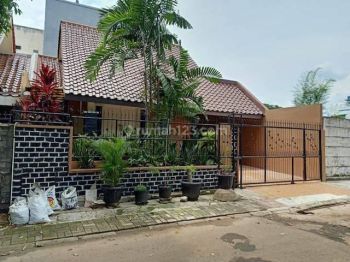 Rumah Dijual Disewakan Cepat Di Anggrek Loka Bsd Serpong Tangsel