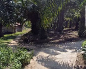 Dijual tanah di Jl Sumber Rejeki dua/ Gajah Mada Sebanga Duri