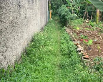 Dijual tanah 1000m2 SHM Tanpa Perantara nego